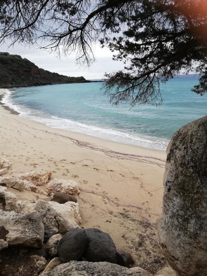 Appartamenti Le Conchiglie E Le Stelle Marine كالا غونوني المظهر الخارجي الصورة