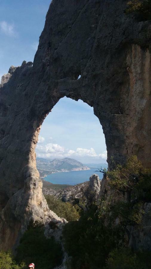 Appartamenti Le Conchiglie E Le Stelle Marine كالا غونوني المظهر الخارجي الصورة